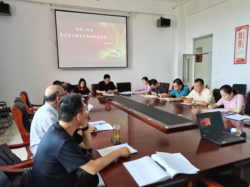 党史组织生活会 图三.jpg